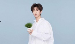 圈内八卦爆料范丞丞小说,娱乐圈背后的豪门秘恋